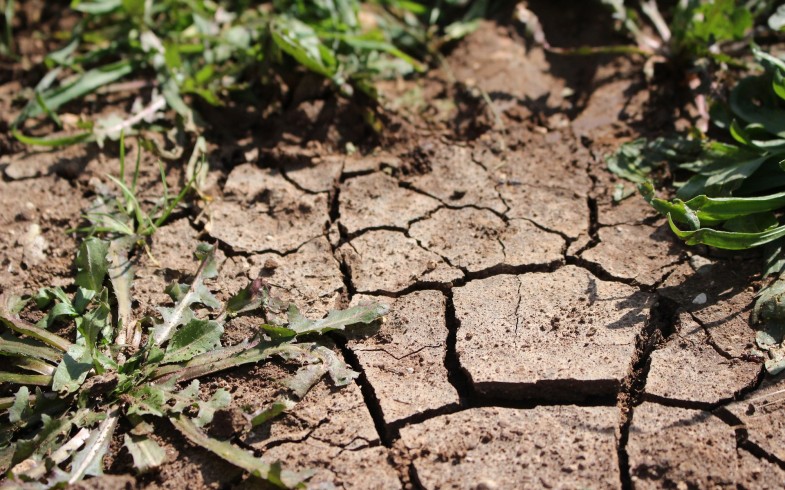 Preparing for the Dry Season