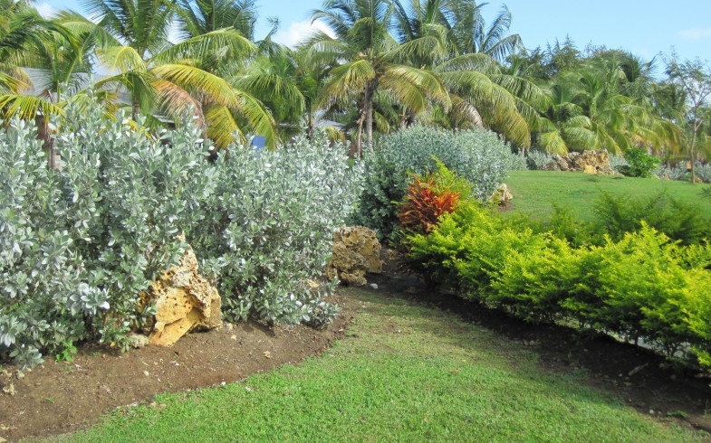 HMB Tobago Plantation